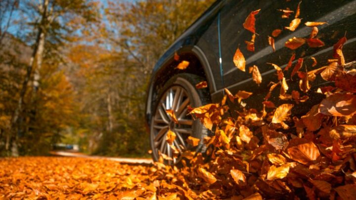 ¿Quieres comprarte un SUV?
